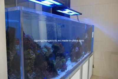 Large Home Aquariums for Sale/Wholesale Aquarium Tanks