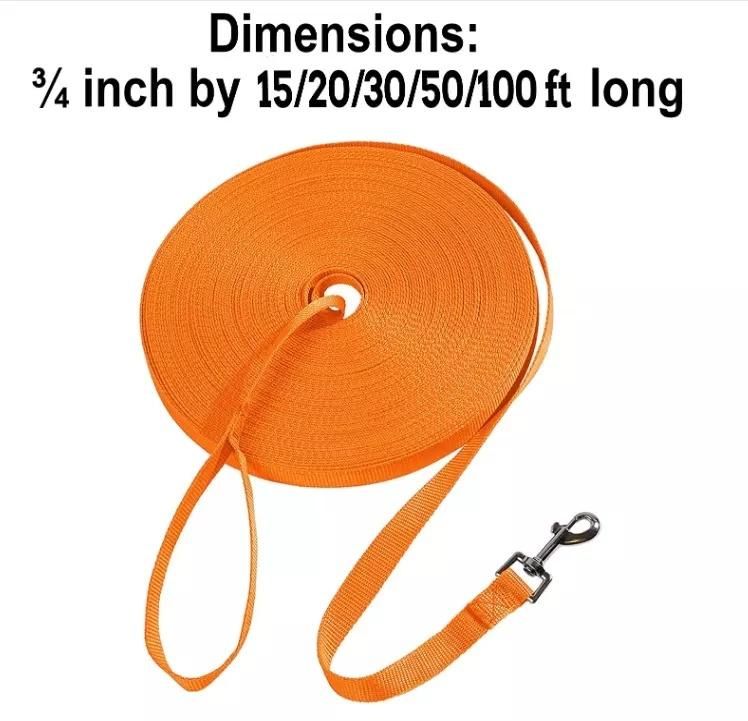 Professional Manufacturer Selling Long Training Dog Nylon Leash