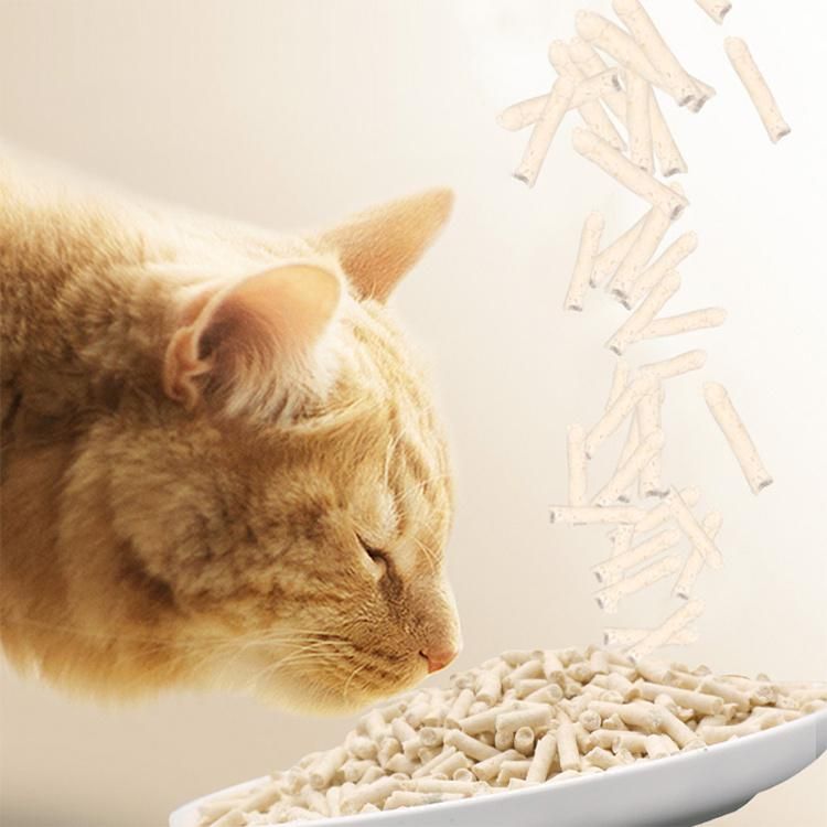 Kitty Litter Premium Quality Clumping Natural Mineral Bentonite Cat Litter for Small Pets Use