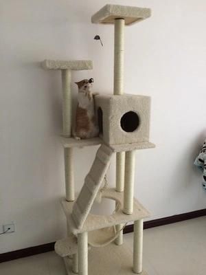 Popular Simple Cat Climbing Frame Cat Tree Tower