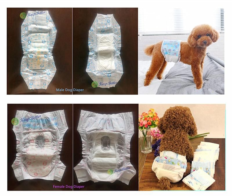 OEM Custom Disposable Pet Dog Puppy Training Diaper Wholesale