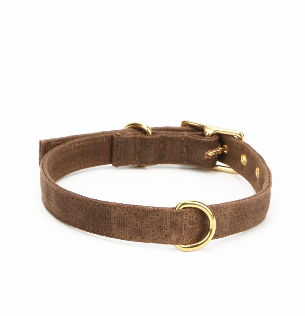 Dark Brown Canvas Waxed Dog Collar with Brass Metal