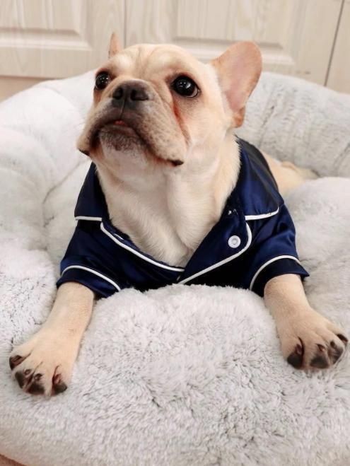 Dog Pajamas Clothes Silk Soft Shirts Loungewear Puppy Pjs for Small Yorkie Bulldog Cats