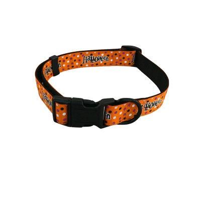 Hot Sale Factory Price Best Quality Plain Nylon Dog Collars