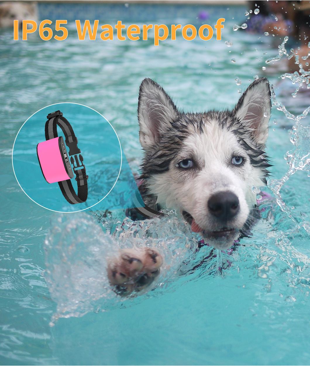 Waterproof Amazon Top Seller Rechargeable and Waterproof Shock Vibration Anti-Bark No Barking Dog Training Control Collar