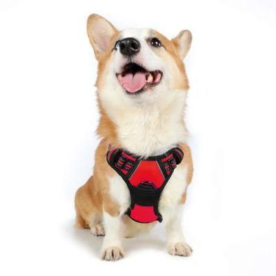 Non-Pulling Dog Harness