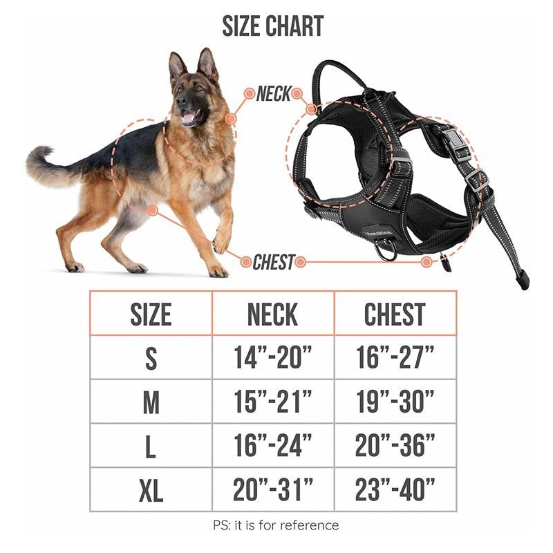 Comfort Safe Choke-Free Adjustable No Pull Dog Harness with Handle for Small Medium and Large Dogs