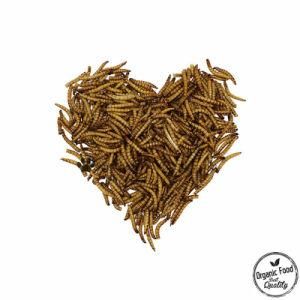 Best No Additive Dried Super Mealworm Bird Feed