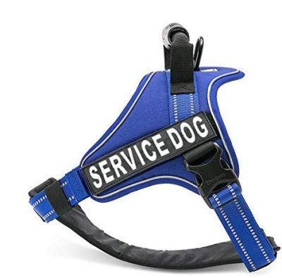 Safe and Comfortable Outdoor Adventure Harness