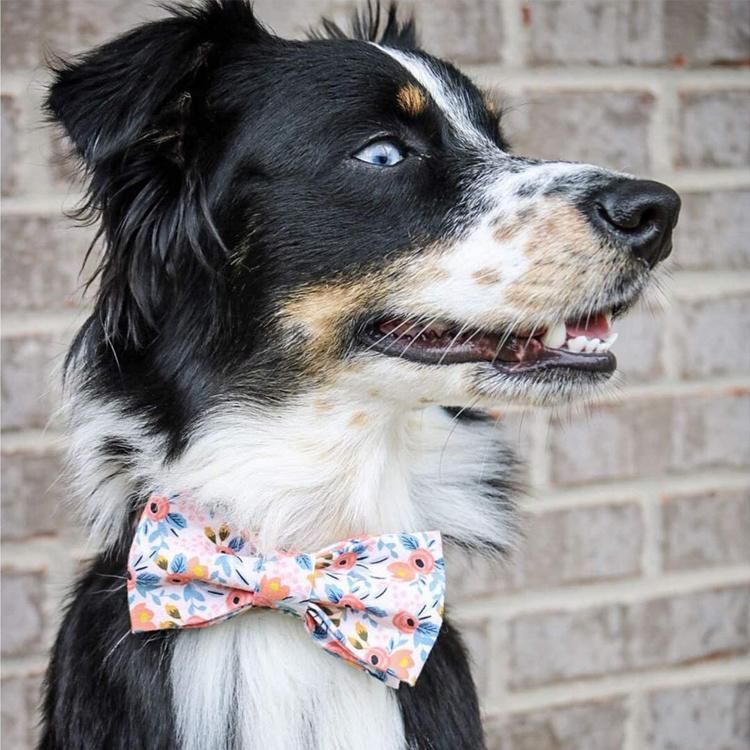 Customize Hemp Soft and Comfortable Dog Bow Tie Plain Collar Cotton Cat Collar Pet Gift Adjustable Cotton Collars