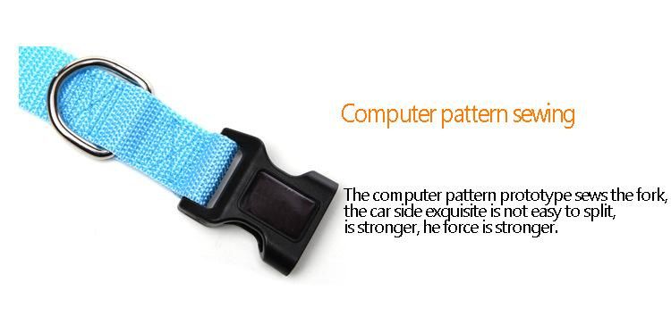 Amazon Top Seller Quick Release Big Cute Blank Dog Collars