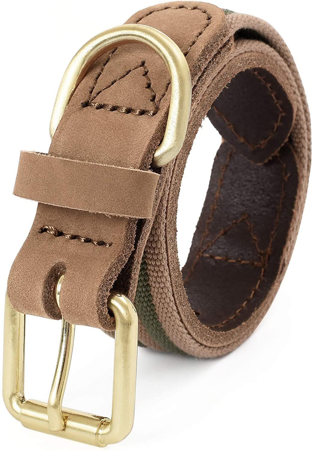 Premium Canvas Leather Dog Collar