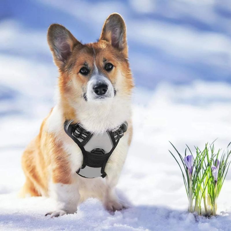 Non-Pulling Dog Harness Reflective Dog Harness