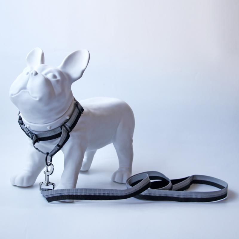 Adjustable Reflective Martingale Dog Collar and Leash with Padded Handle