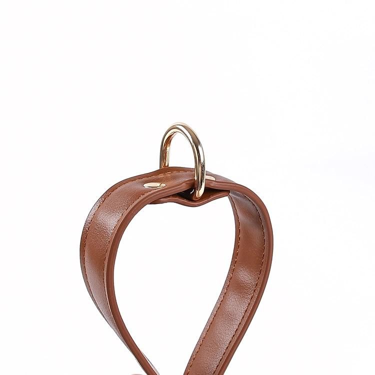 Hands Free Multifunctional Vegan Leather Pet Leads Made Two Metal Hooks Double Side Handle Dog Leash
