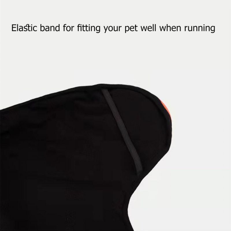 Two Colors Sport Dog Jacket Fashion Pet Clothes