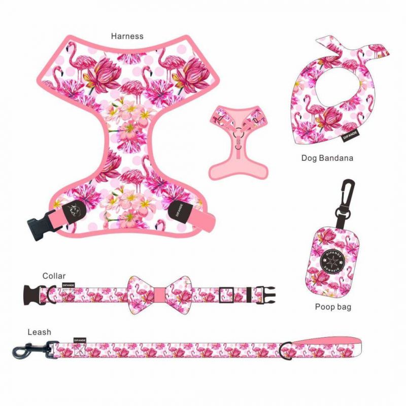 Zinc Alloy D Buckle Reflective Breathable Easy Washed Blank Ring Classical Mesh Personalized Dog Harness Set Custom