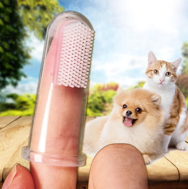 2021 Hot Selling Pet Products of Super Soft Silicone Pet Dog Cat Finger Toothbrush Pet Toothbrush