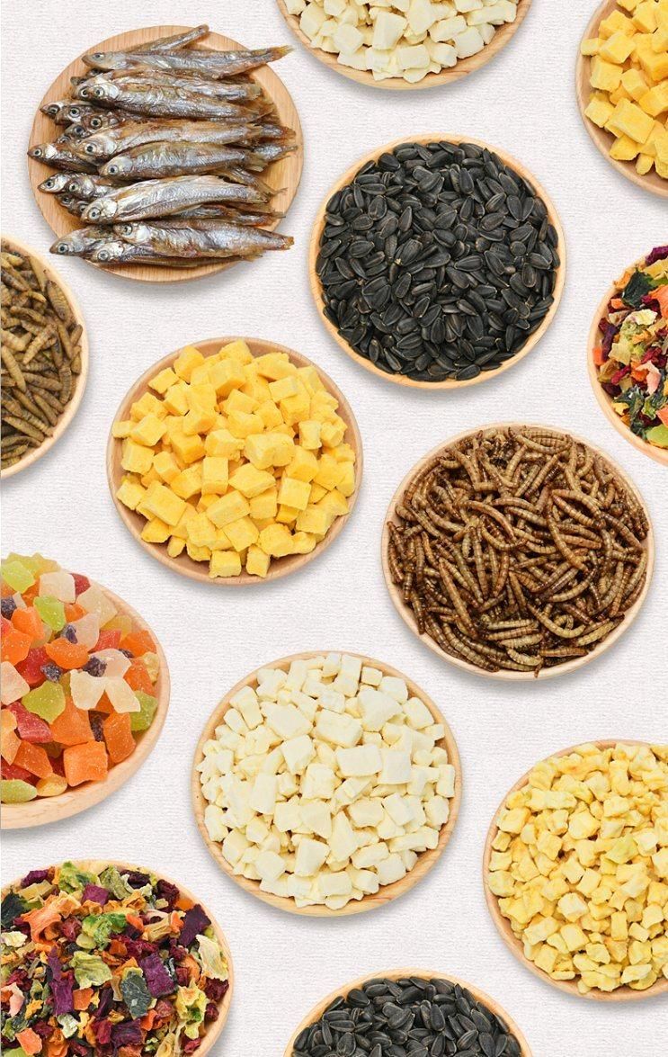 Yee Pet Mixed Snacks Various Flavors Nutrition Balance Healthy Food Supplies