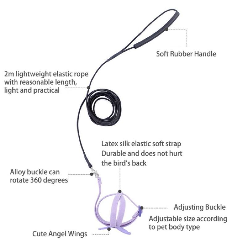 Parrot Harness Leash Set Anti-Bite Outdoor Training Flying Rope