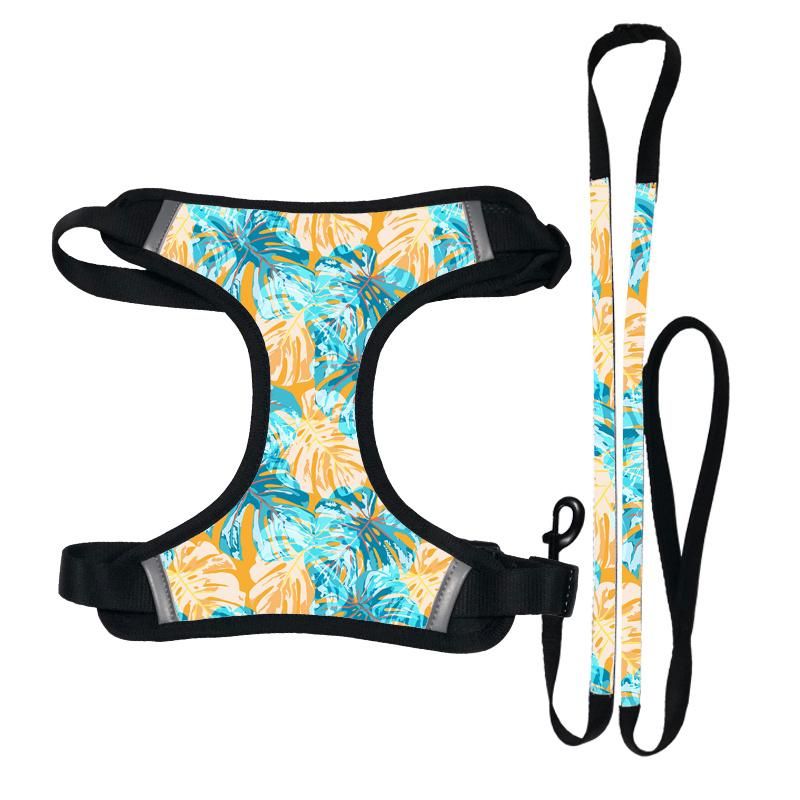 High Quality Fast Delivery Dog Leash Poop Bag Collar a Set Customize Dog Harness