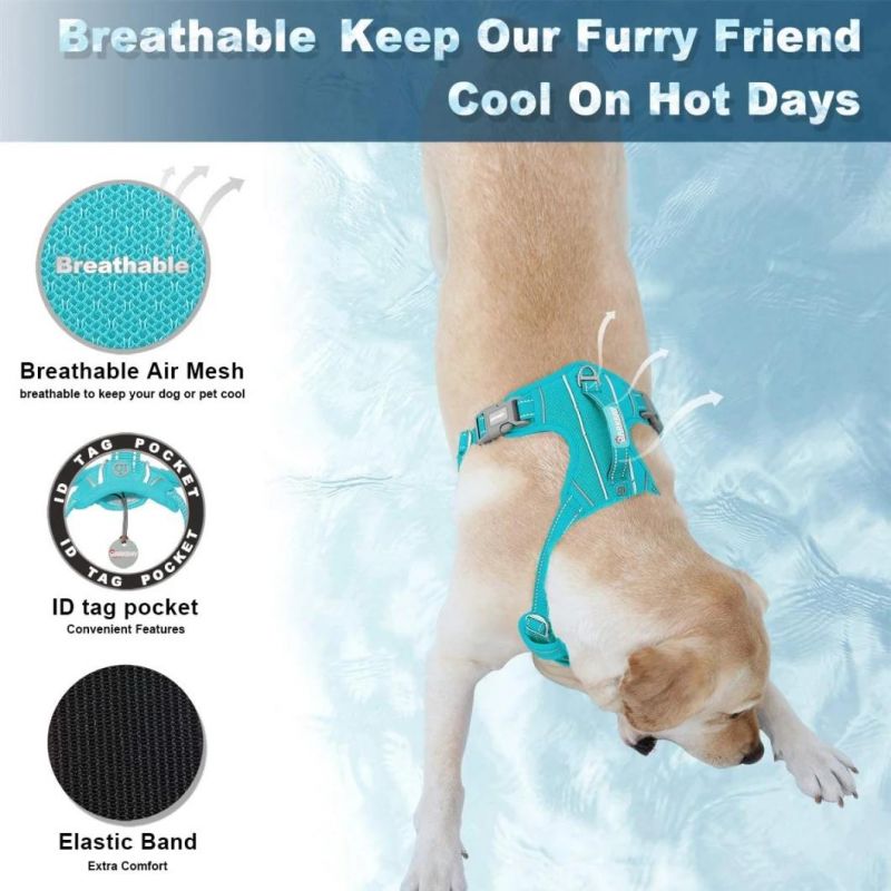 Ultra Reflective Mesh Pet Harness with Multiple Colors Option