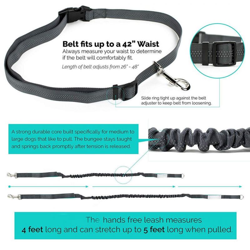 Strong Durable Shock-Absorbing Bungee Leash for Dogs Medium to Large