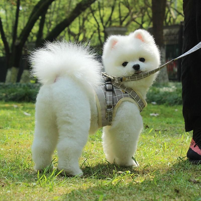 Dog Harness Vest No Pull Adjustable Dog Leash Soft Breathable Plaid Dog Harness