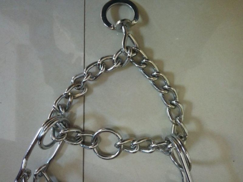 Pets Chock Chain with Brand for Dog