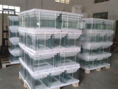 Small Curved Glass Aquarium for Home Decoration