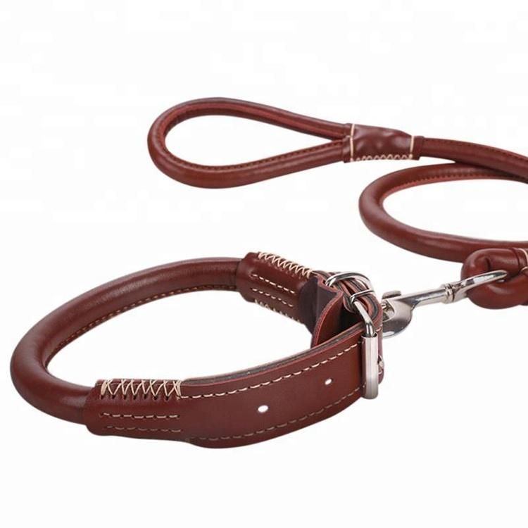 Amazon Wholesale Pet Supply Popular Pet Leash with Leather Dog Collar