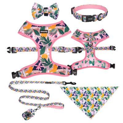 OEM Design Print Neoprene Dog Reversible Harness Set with Matching Leash Collar Dog Harness Set