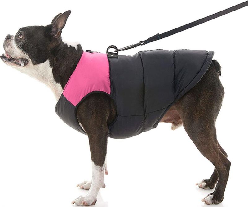 Zip up Dog Jacket Coat with D Ring Leash