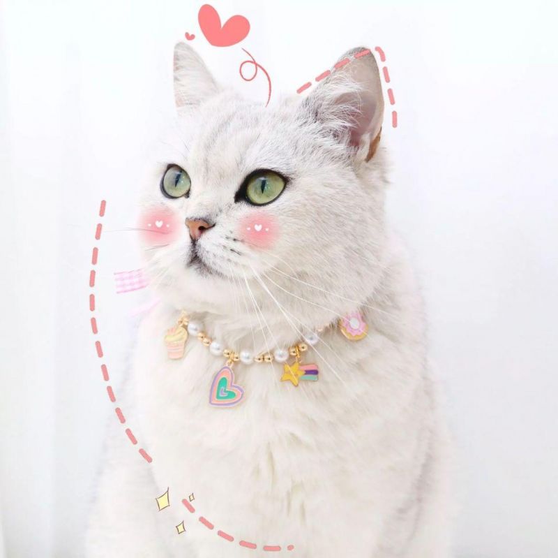 Pearl Bells Collar Adjustable Cat Rabbit Birthday Dog Pendant Chain Necklace Bow Pet Accessories