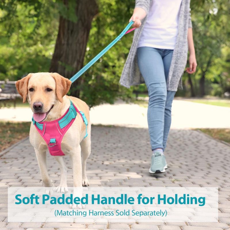 Reflective Dog Leash with Soft Padded Handle for Training, Walking Lead for Large & Medium Dog