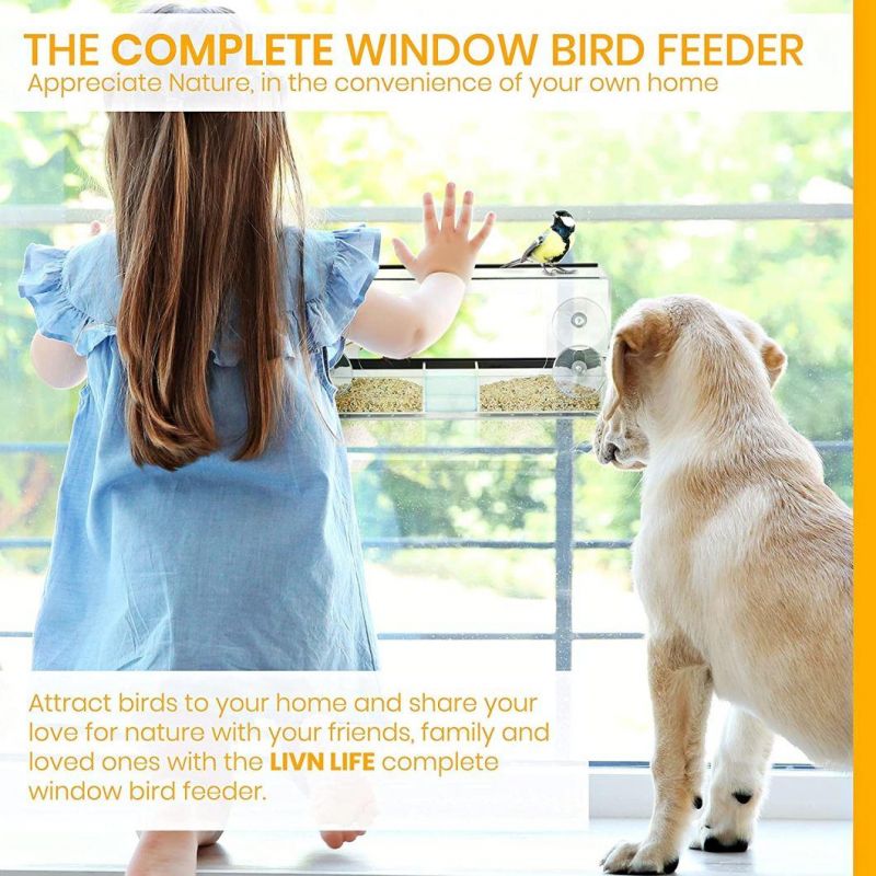 Factory Wholesale Cheap Pet Bird Cage