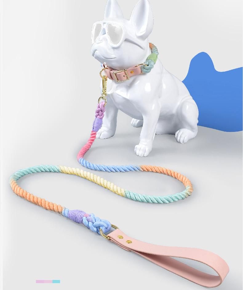 PU Leather Woven Rope Dog Collar & Lead, Custom Logo Pet Leash & Collar