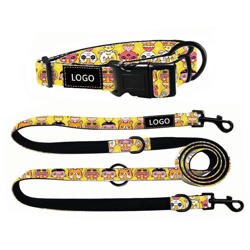 Multifunctional Dog Leash Collar