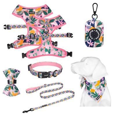 China Customized Custom Made Products Guangdong Dog Harness Pet Accessories Leash Sets
