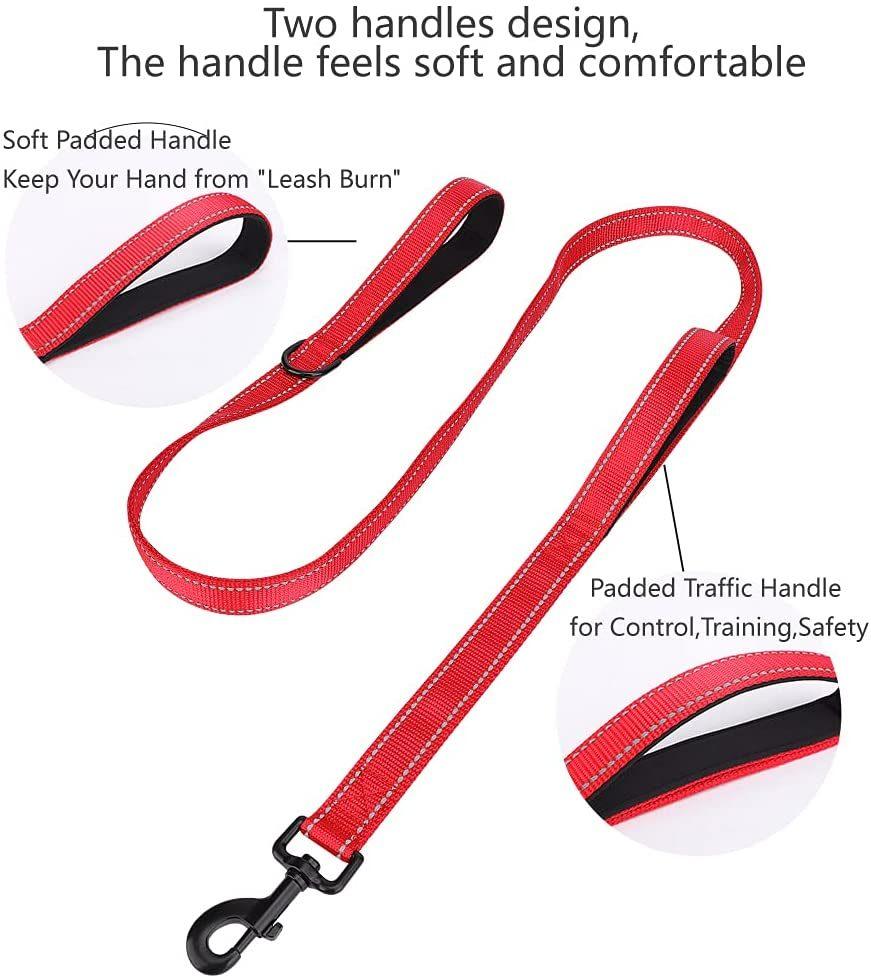Two Comfortable Handles for Extra Control, Safe Reflective Nylon Rope Dog Leash