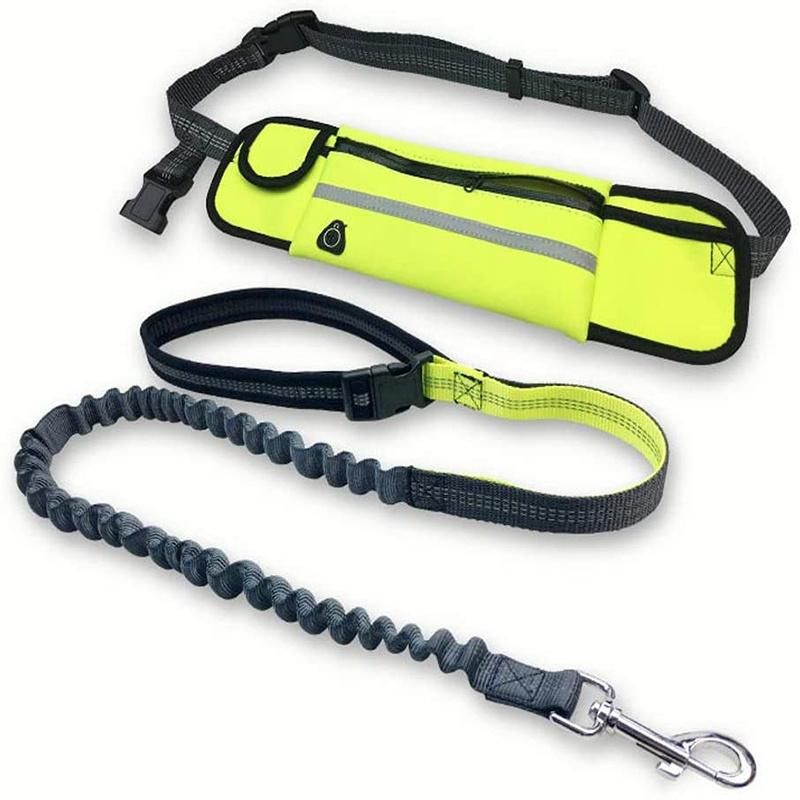 Hands Free Dog Leash and Collar for Running Walking Training Hiking