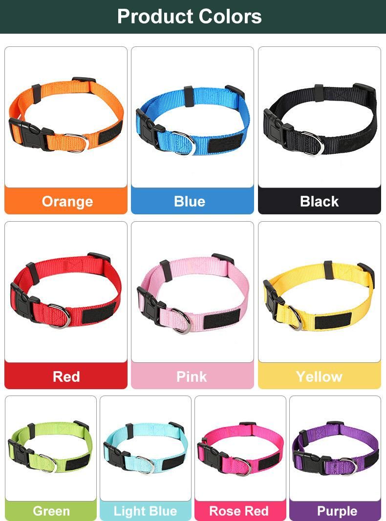 Basic Training Nylon Adjustable Dog Collars Personalized Pet Collars