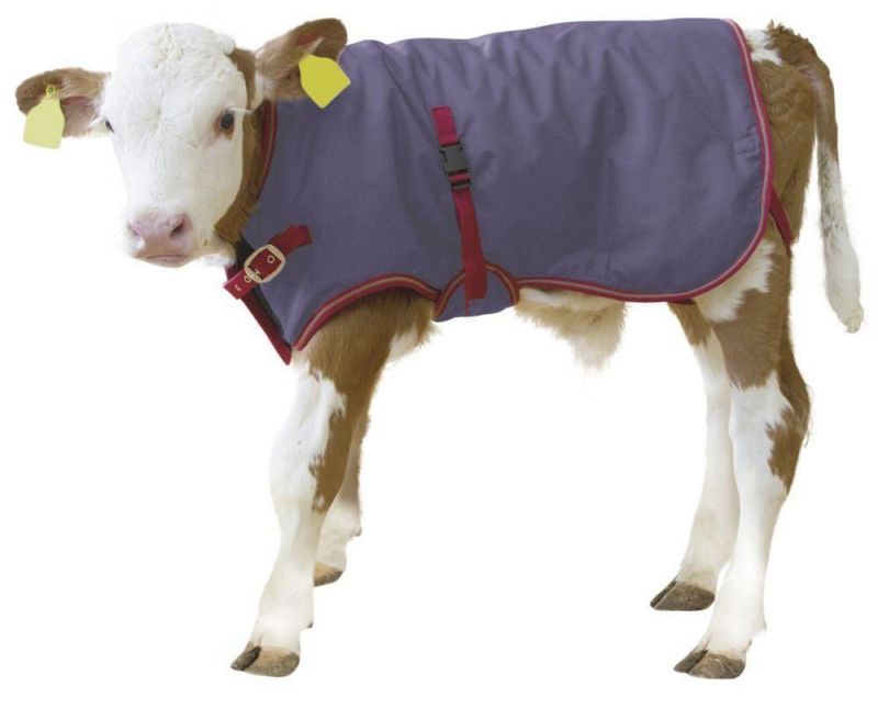 Calf Jackets Waterproof Breathable Warming
