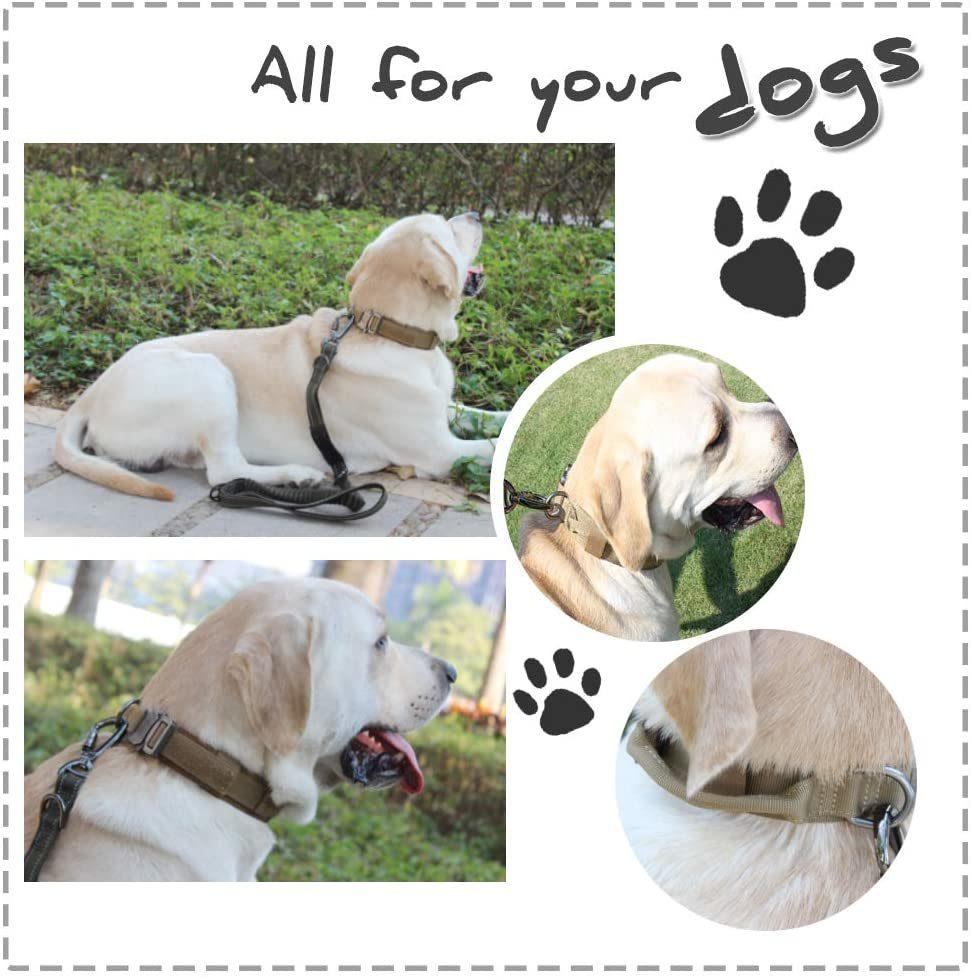 Adjustable Military Nylon Heavy Duty Metal Buckle with Control Handle Tactical Dog Collar