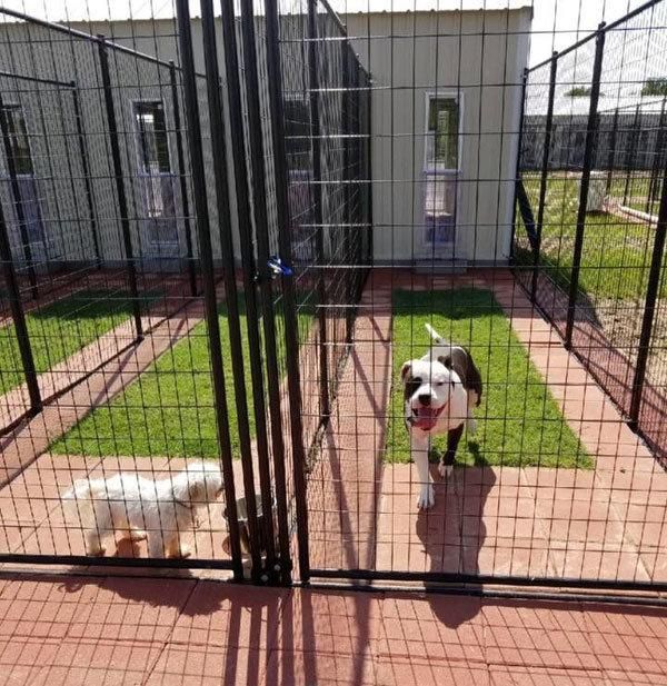 Welded Wire Galvanized Dog Breeding Kennel