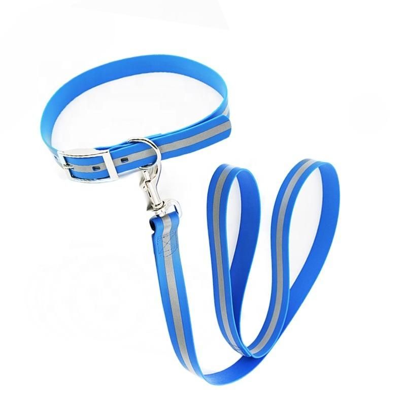 PVC Large Big Dog Collar and Leash Set