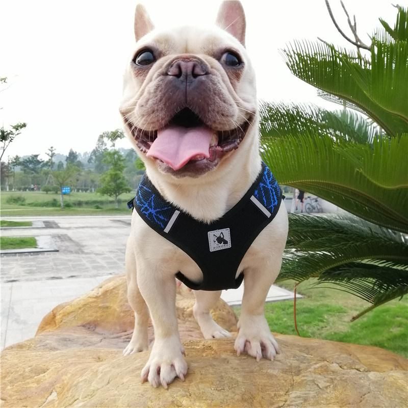 Dog Harness Breathable Mesh No Pull & No Choke Harness Vest for Small Medium Dog Adjustable