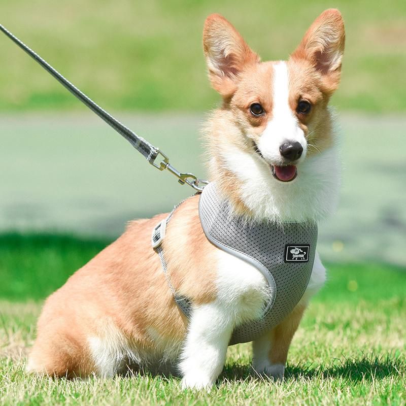 Pet Dog Training Leads Leash Breathable Dog Harness Pet Products Accessories