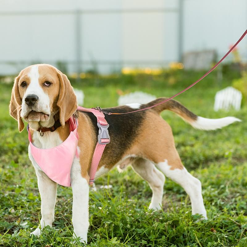 No Pull Doggy Vest Harness Colorful Small Size, Colorful 5 FT Leash