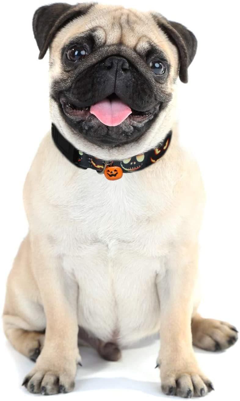 Halloween Dog Collar and Leash Set with Cute Bell